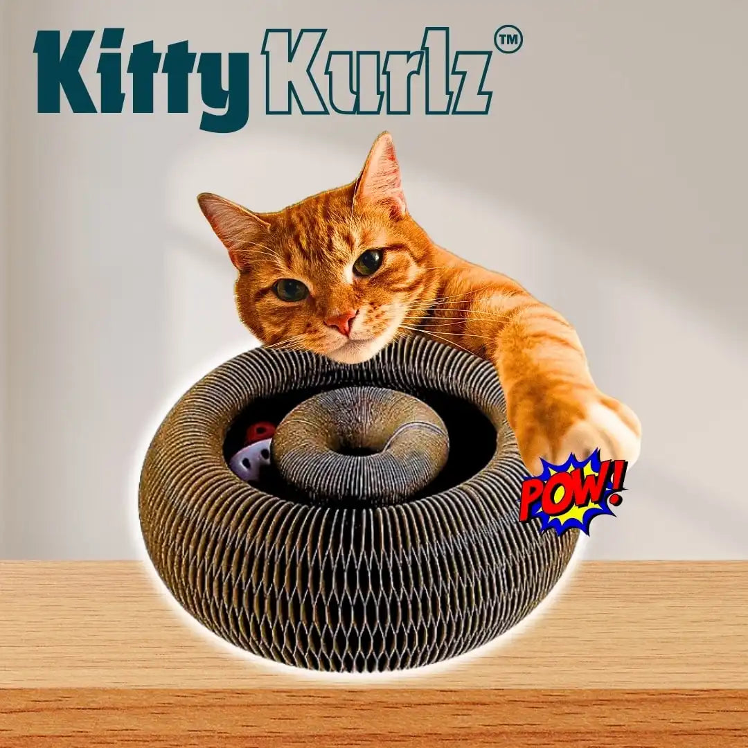 KITTY KURLZ™ - Rascador interactivo