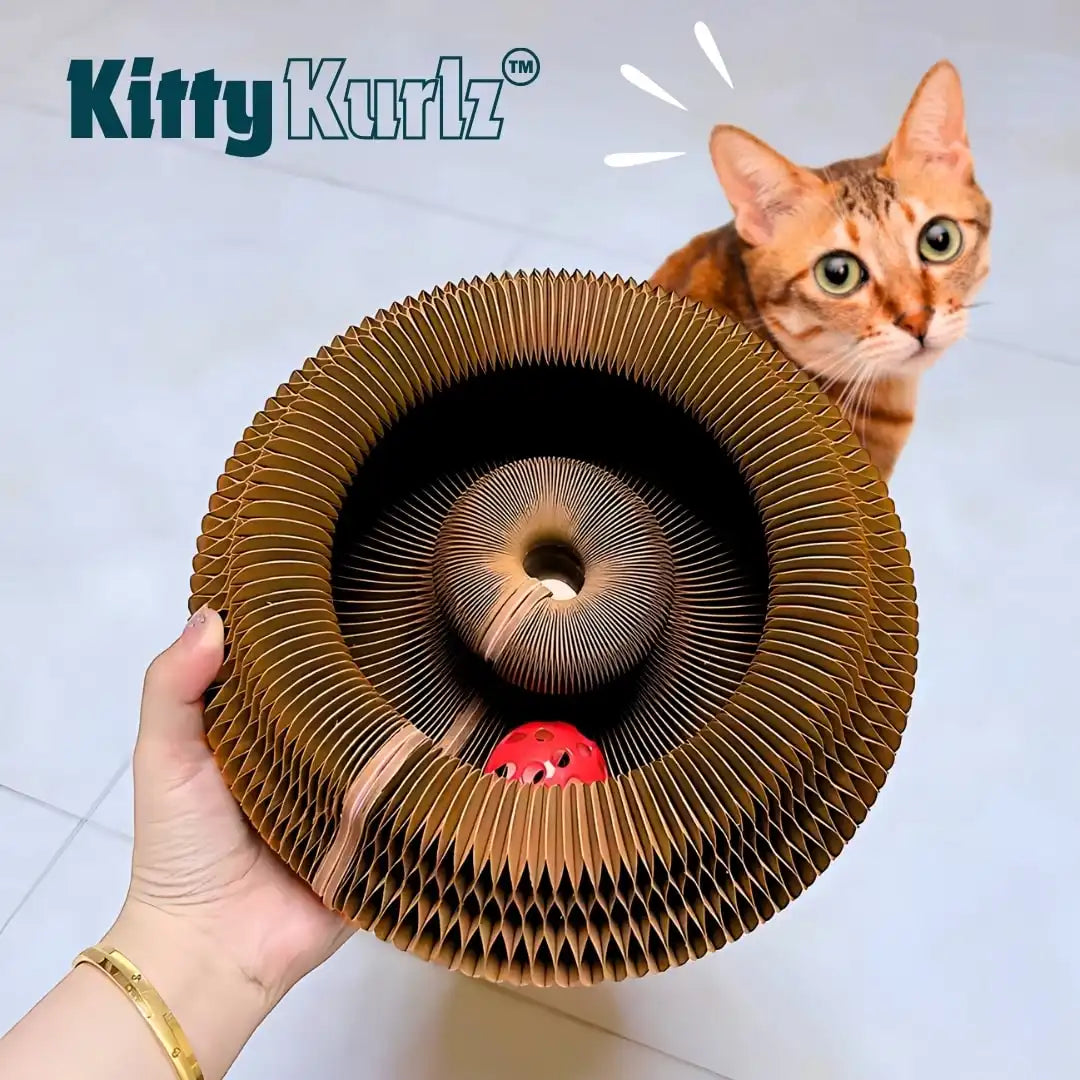 KITTY KURLZ™ - Rascador interactivo